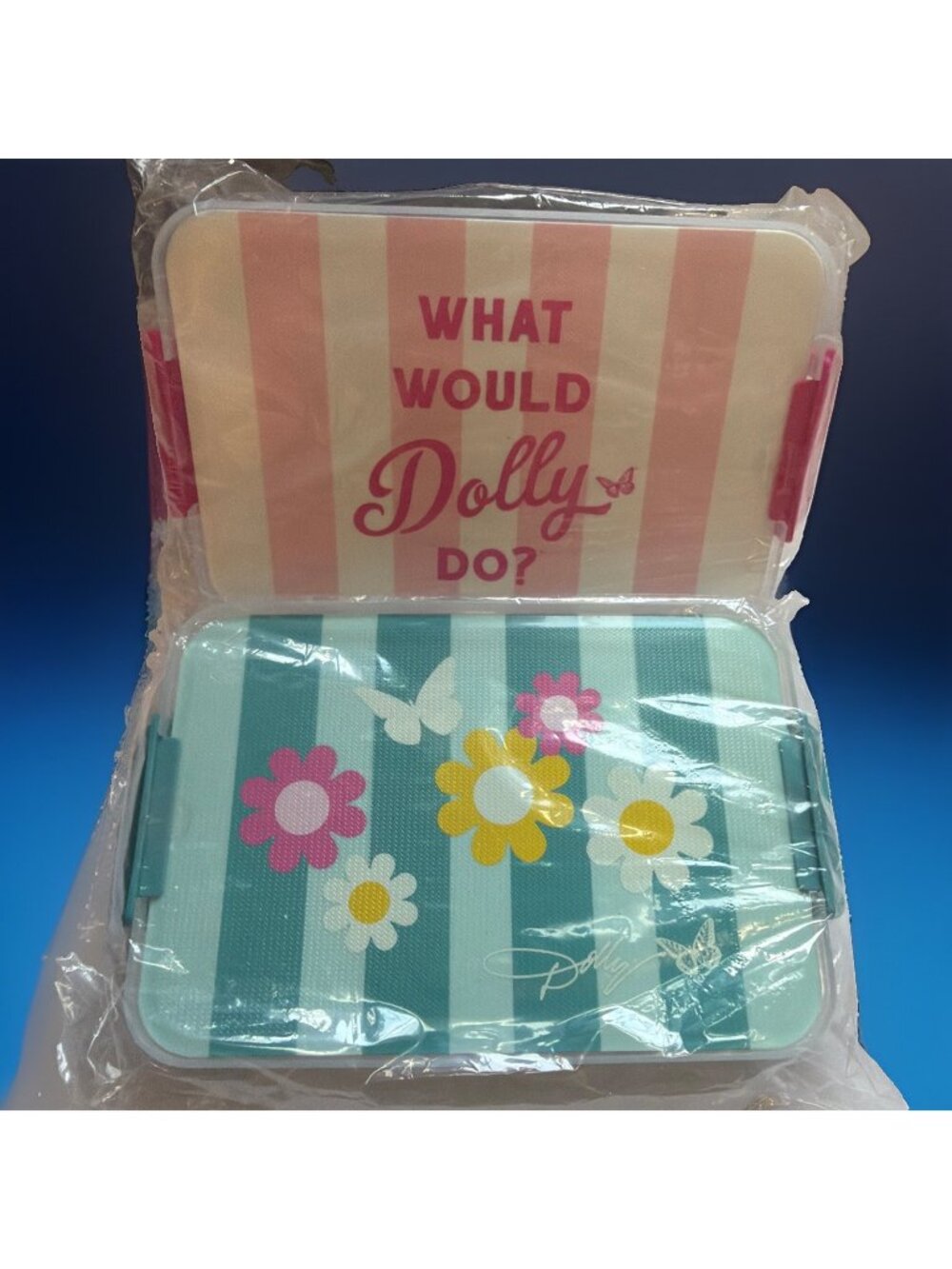 Dolly PartonCompartment Plastic Snack Box Blue Flowers NEW Set Of 2